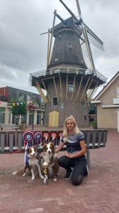 88b50772-23ac-451a-b884-4dec120c2b98